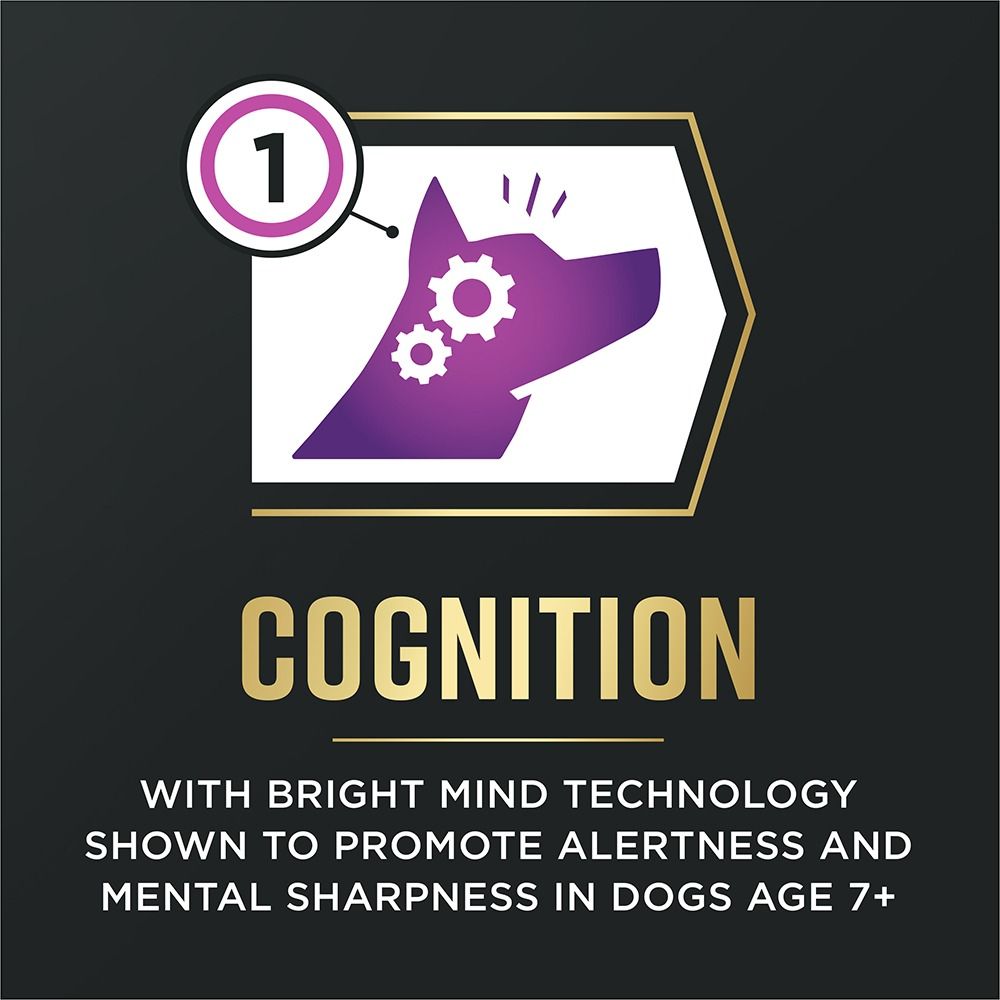pro-plan-advantedge-senior-support-dry-dog-food-cognition_1.jpg