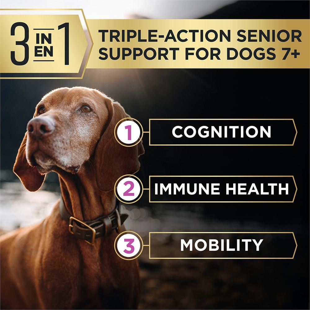 pro-plan-advantedge-senior-support-dry-dog-food-triple-action.jpg