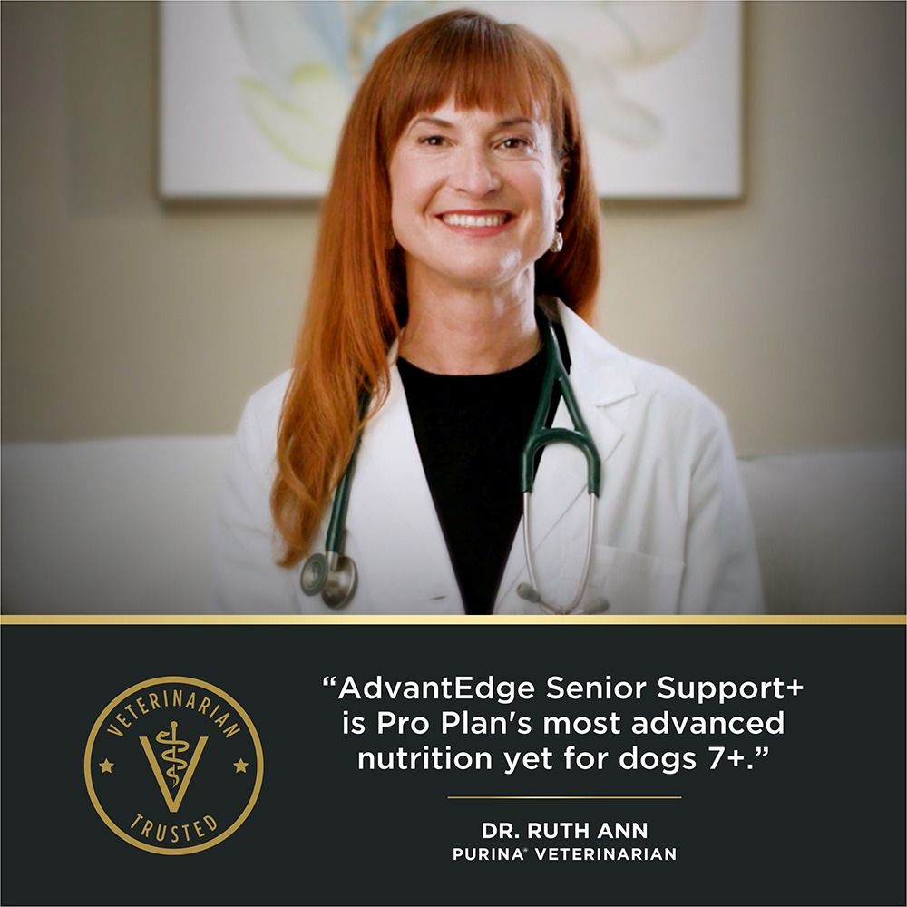 pro-plan-advantedge-senior-support-dry-dog-food-vet-approved.jpg