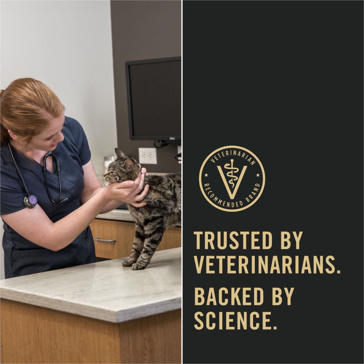 pro-plan-cat-food-trusted-by-vets.jpg