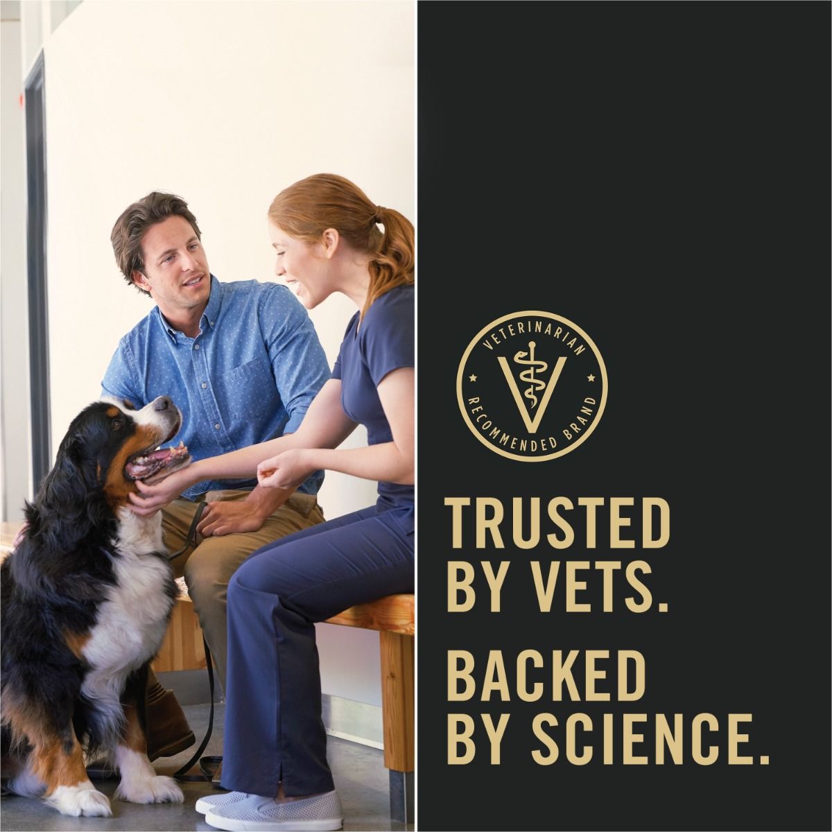 pro-plan-dog-food-trusted-by-vets_5.jpg